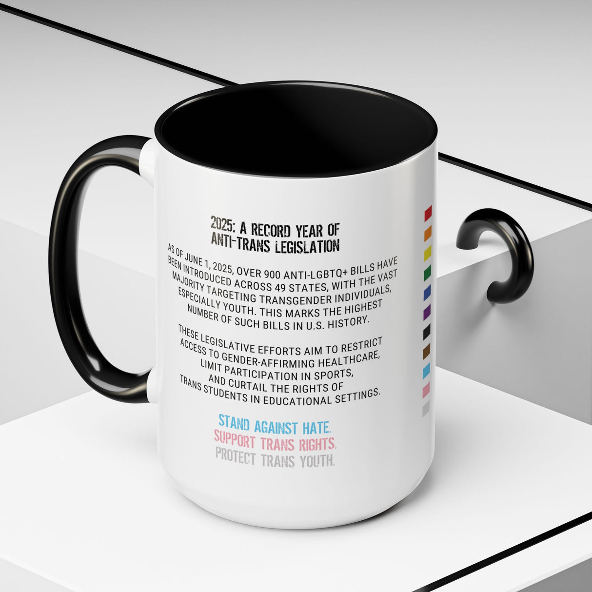 2025 Protect Trans Youth Accent Mug – Sip With Purpose