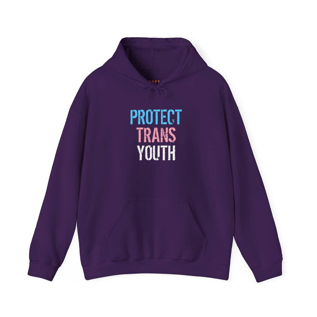 Protect Trans Youth 2025 Hoodie – Heavy Fleece, Heavier Meaning