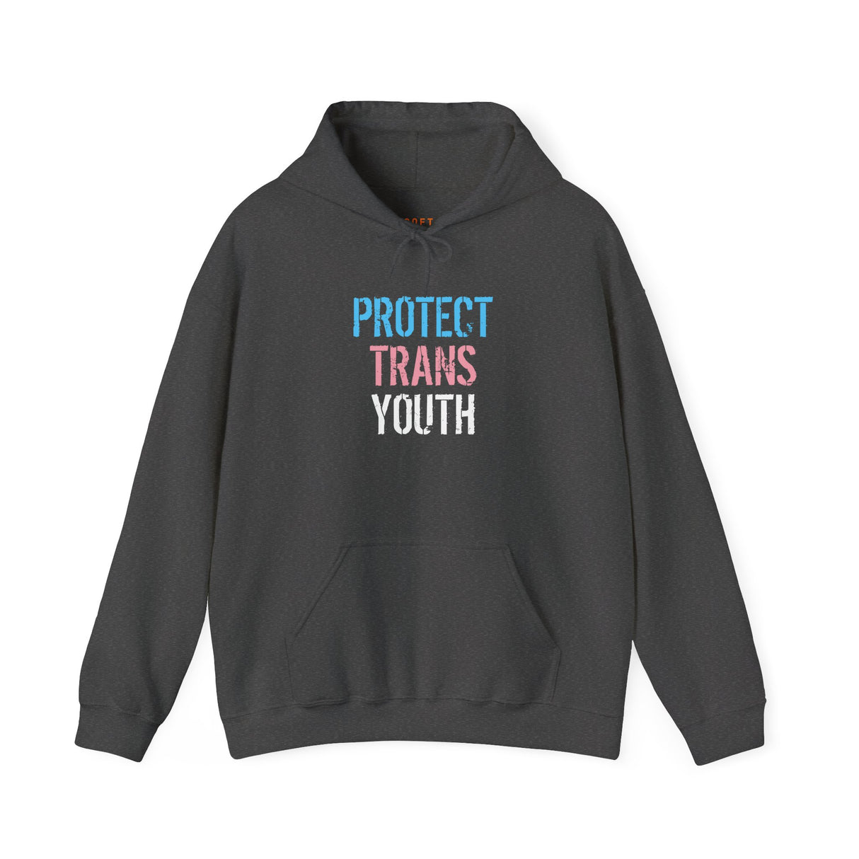 Protect Trans Youth 2025 Hoodie – Heavy Fleece, Heavier Meaning