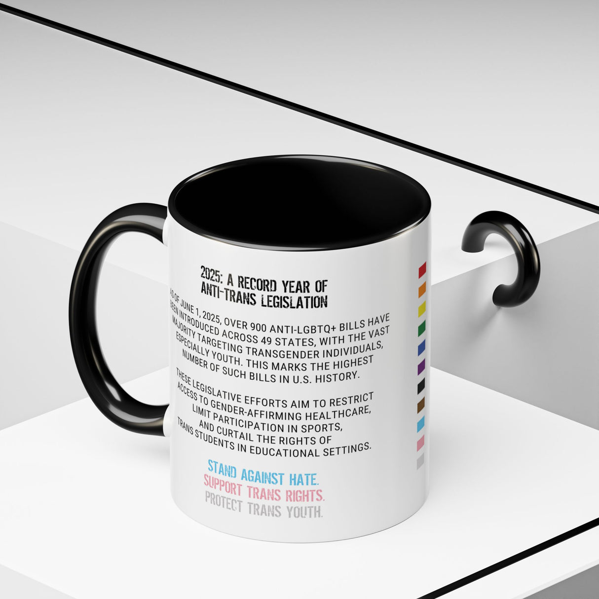 2025 Protect Trans Youth Accent Mug – Sip With Purpose