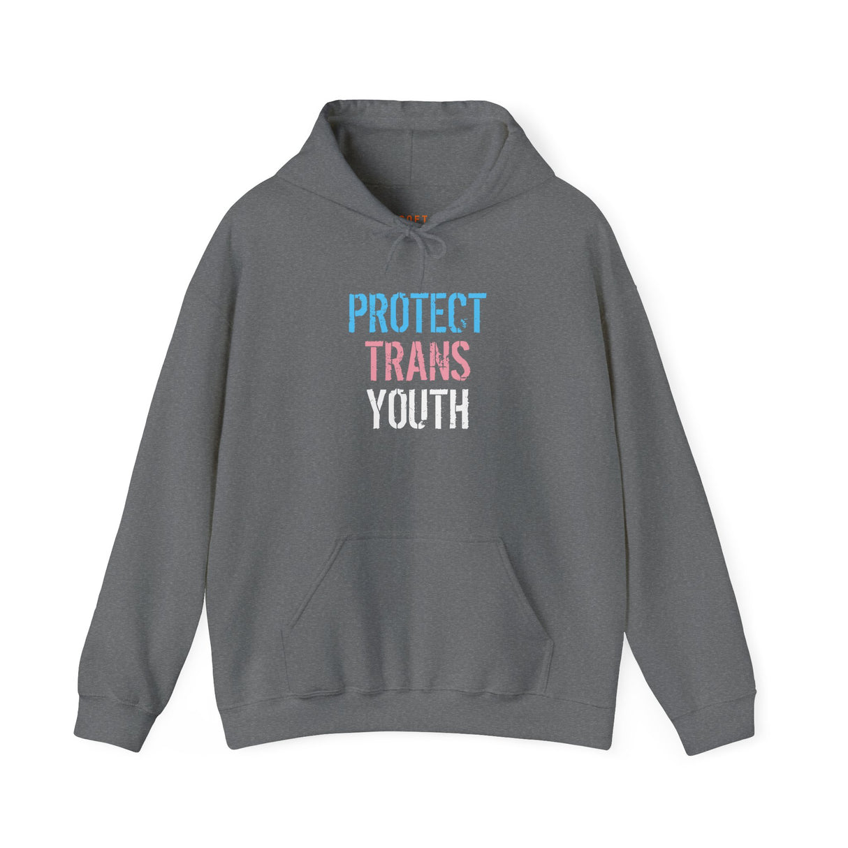 Protect Trans Youth 2025 Hoodie – Heavy Fleece, Heavier Meaning