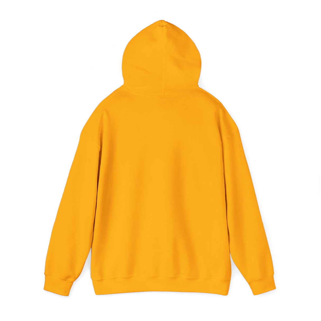 RAW Rainbow Embroidered Hoodie