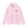 RAW Rainbow Embroidered Hoodie