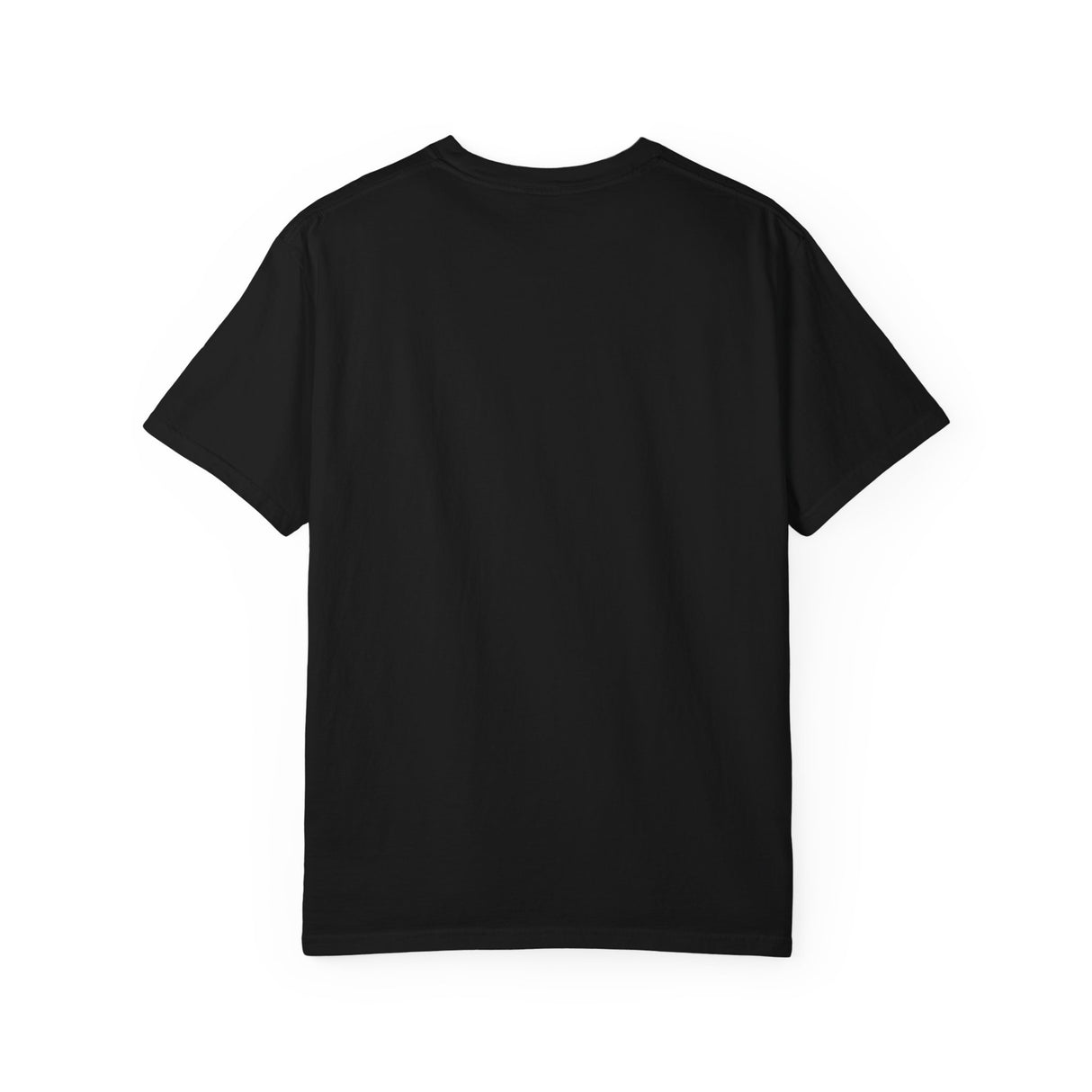 Trans Pride Heavyweight Tee – Soft Structure, Bold Heart